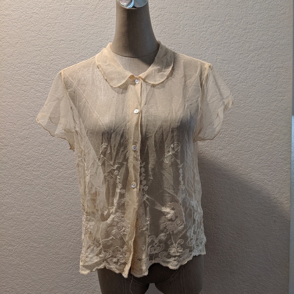 Transparent Button Up